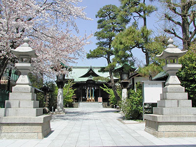 SAKURA JINGŪ